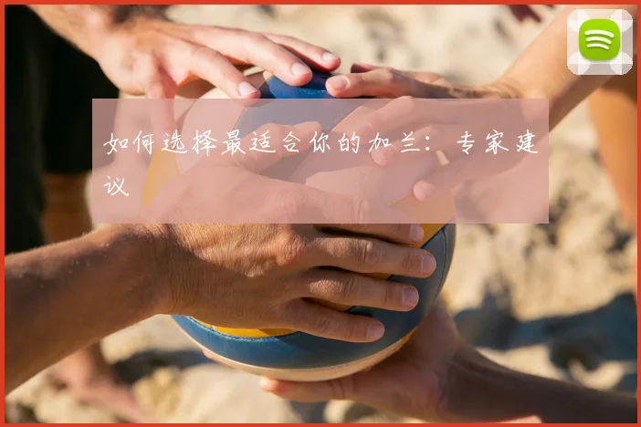 如何选择最适合你的加兰：专家建议