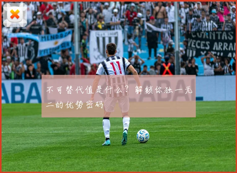 不可替代值是什么？解锁你独一无二的优势密码