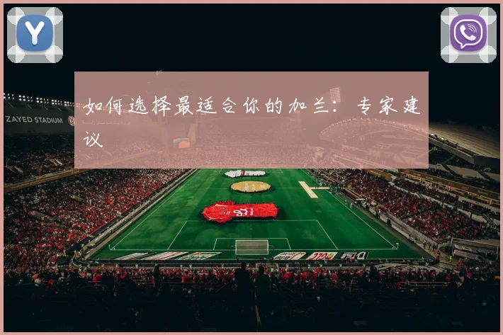 如何选择最适合你的加兰：专家建议